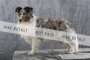 129608_le_ 01_0906.JPG