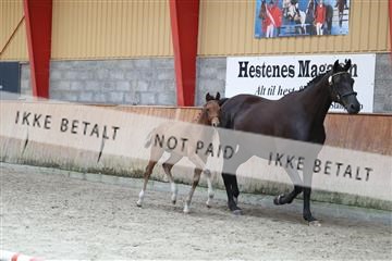 181868_mtp_03_R62_5968.JPG