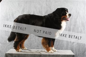 129608_le_ 02_0189.JPG