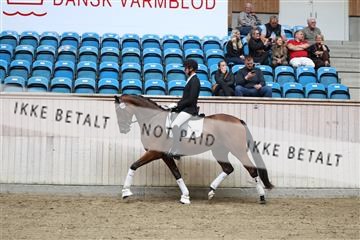181887_mtp_04_R62_8725.JPG