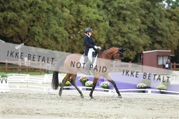 181923_mtp_04_R62_9139.JPG