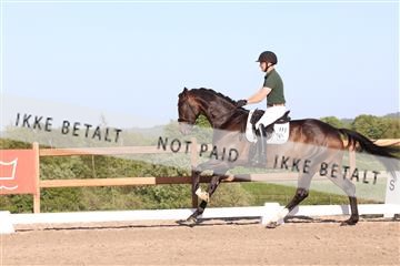 181449_bc_01R62_6457.JPG