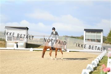 181894_mtp_04_R62_3041.JPG