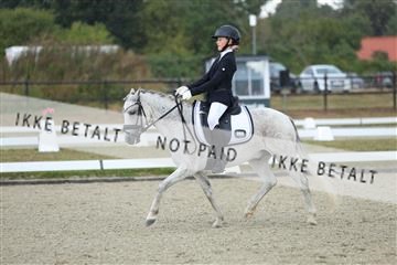 181894_mtp_05_R62_4164.JPG