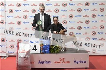 178657_kar_02__8501526.JPG