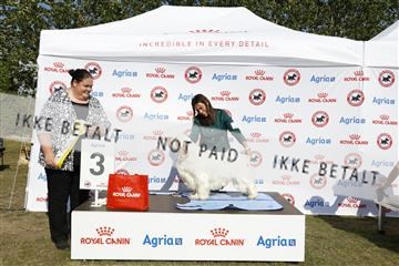 181848_kar_01__62_2504.JPG