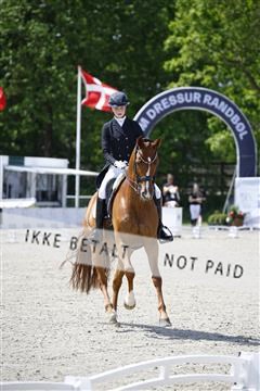 181449_kbb_02_6II0435.JPG