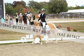 181894_mtp_03_R62_2517.JPG