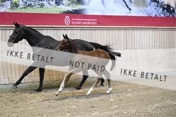 181754_kbb_01_Z092604.JPG