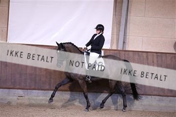 176250_mtp_01_3M5A5133.JPG