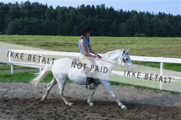 110-1027_IMG.JPG