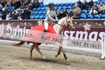 170217_abo_01_D05_5830.JPG