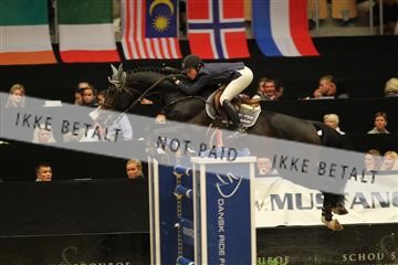 126407_abo_17_IMG_6390.JPG