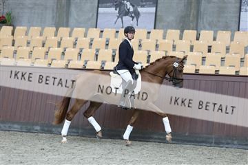 181852_mtp_04_R62_2905.JPG