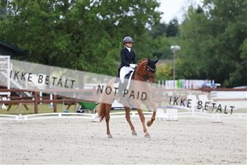 181923_mtp_01_R62_6181.JPG