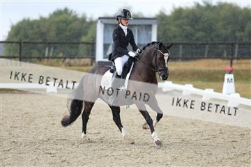 181894_mtp_05_R62_4360.JPG