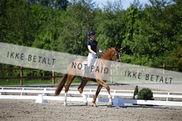 181449_kbb_01_6II9127.JPG
