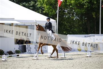181449_kbb_02_6II0398.JPG