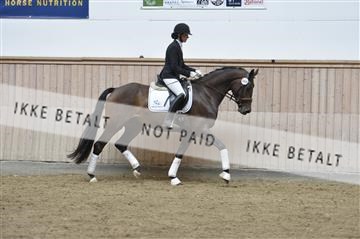 160111_nn_01__ESK1688.JPG