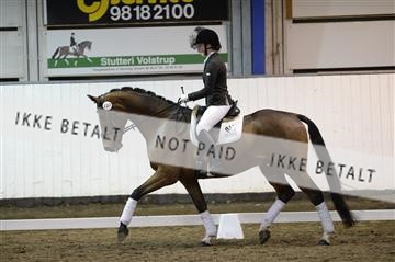 141472_abo_01__AB15298.JPG