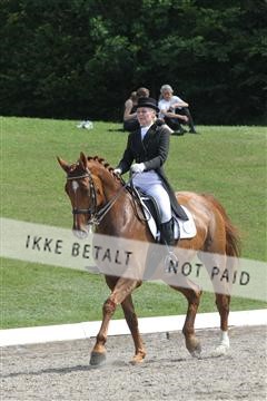 135676_sg_01_IMG_8032.JPG