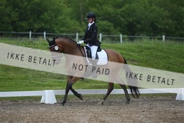 147698_nn_01_IMG_8781.JPG
