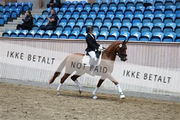 181887_mtp_05_R62_9542.JPG