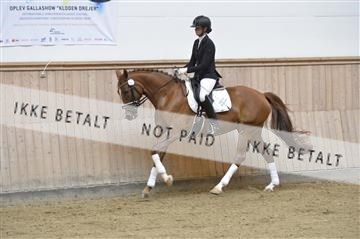 160111_nn_01__ESK1383.JPG