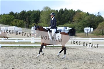 181894_mtp_05_R62_5275.JPG