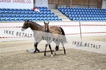 181754_kbb_01_Z093791.JPG