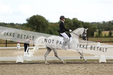 181894_mtp_03_R62_2477.JPG