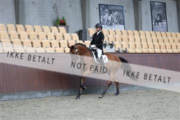 181852_mtp_01_R62_1522.JPG