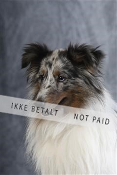 129608_le_ 01_0915.JPG