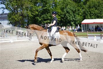 181449_kbb_01_6II9134.JPG