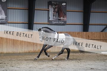 170446_abo_01_D05_0975.JPG