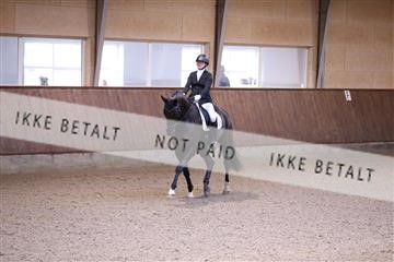 173821_mtp_01_3M5A8453.JPG