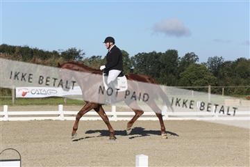 148862_sg_01_IMG_2653.JPG