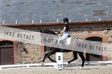 174742_bc_01_R62_2284.JPG
