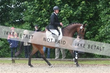 135518_ms_01_IMG_1354.JPG
