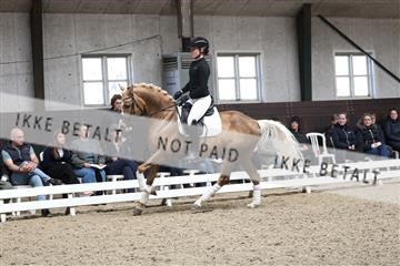 179104_avh_01_3142.JPG