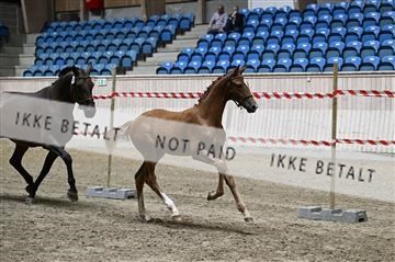 181754_kbb_01_Z093540.JPG