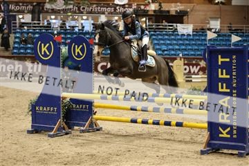175934_avh_02_6954.JPG