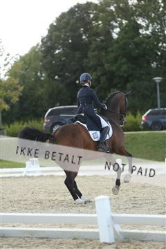 148862_sg_02_IMG_4137.JPG