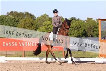 181449_bc_01R62_6482.JPG