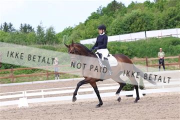 181449_bc_01R62_6625.JPG