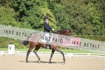 181957_mtp_01_3M5A7840.JPG