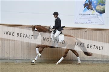 160111_nn_01__ESK1765.JPG