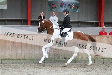 181867_mtp_01_R62_3980.JPG