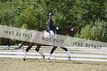 136195_abo_01__AB16087.JPG