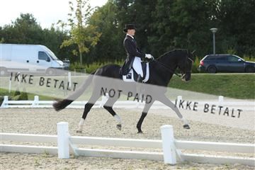 148862_sg_02_IMG_3811.JPG